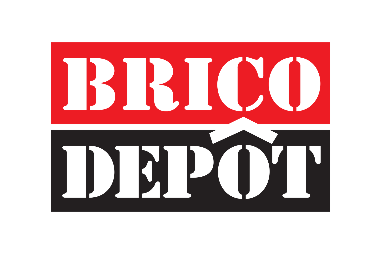 Brico Depot Logo